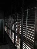 89mm Solid Wooden Plantations Shutters (SGD-S-5246)