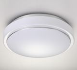 CE Emergency IP65 Outdoor LED Ceiling Light (Hz-GYXD15WA)