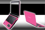 Mini Laptop Computer (PHI102A)