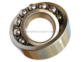 SKF NSK Self-Aligning Bwhichle Bearing