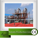 Tomato Paste Tomato Production Line