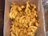 New Crop Fresh Ginger in Carton