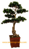Silk Pinaster Tree, Artificial Pine Bonsai (SRC-435)