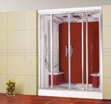 Steam Shower Room (WN-1209)