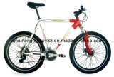 Simple Alloy Mountain Bicycle for Sale MTB-034