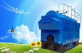 Horizontal Biomass Fired Steam Boiler (DZL)