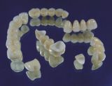 Dental Lab Supplies - 8