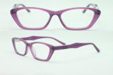 High Quality Acetate Optical Frame Fashion Eyewear (H526)