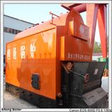 Travelling Grate Coal Steam Boiler (DZL)