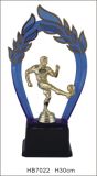 Souvenir Trophy (HB7022) 