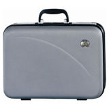 ABS Luggage (Hda303)