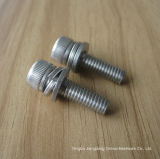 DIN912 Stainless Steel Bolt with Nut and Washer