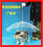 Pet Umbrella Supplier From China