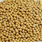 Competitive Price Dired Soybean for Good Quality