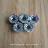 DIN 6923 Good Quality 12 Point Hex Flange Nut