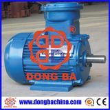 Three-Phase Electric Motor -Yb2 Explosion Proof Motor (YB2-(63~225))