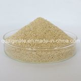 Thickener Sodium Alginate Textile Grade