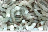 Frozen White Shrimp (PDTO)