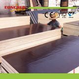 Decorative Laminated Plywood, Film Faced Plywood