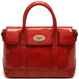Fashion Brand Handbag Lady Bag Designer Handbag Satchel Bag (S1001-A3963)