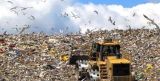 Biological Deodorant, Aerobic Bacteria for City Garbage Composting /Organic Waste Fermentation /Municipal Waste