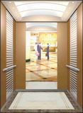 Beautiful Passenger Elevator