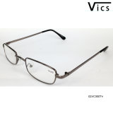 Metal Reading Glasses/Eyewear/Spectacles (02VC300T)