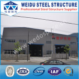 Prefabricated Steel Structure Building (WD100734)