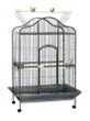 Beautiful Metal Parrot Cage for Pet Product (B022)