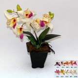 Artificial Potted Flower, Imitative Silk Orchid