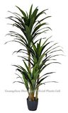 Hot Sale Small Bonsai Artificial Yucca