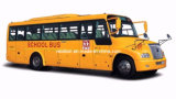 Zk6100da 9meters 30-48 Seats School Bus