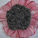 Bird Feed Sunflower Seeds (562)