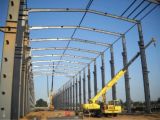 Large Span Steel Structure Building (PD-06)