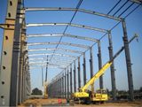 Large Span Steel Structure Building (PD-06)