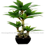 Artificial Plant Bonsai /Artificial Dracaena Fragrans