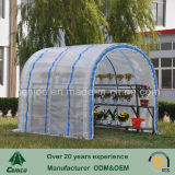 Domed Style Greenhouse