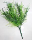Imitation Asparagus Fern Plants (SL08)