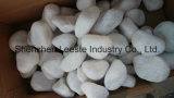 Popular and Hottest Snow White Tumbled Pebbles on Sales