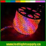 CE RoHS Decoration Lighting 5 Wires Flat Rgby Chasing LED Rope