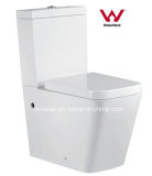 Watermark Washdown Two Piece Ceramic Toilet (2051A)