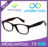 (Jc9009) Newest Acetate Hot-Sold Optical Frame Eyewear
