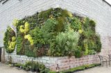High Quality Artificial Plants and Flowers of Vertical Garden Gu-Mx-Green-Wall002