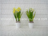 Artificial Plastic Potted Flower (XD14-22)