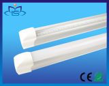Optimum Brightness T5 LED Tube Light