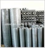 Galvanized Welded Steel Wire Netting