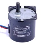 AC Micro Motor