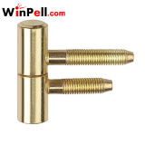Two Bolts Flat Roofed Screw Hinge (BH-2C1301)