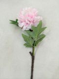 Artificial Silk Single Stem Peony Flower for Decoration Wedding