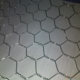 Hexagonal Wire Netting ISO9001 Manufacturer